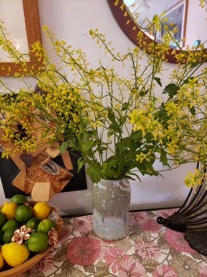 pams vase